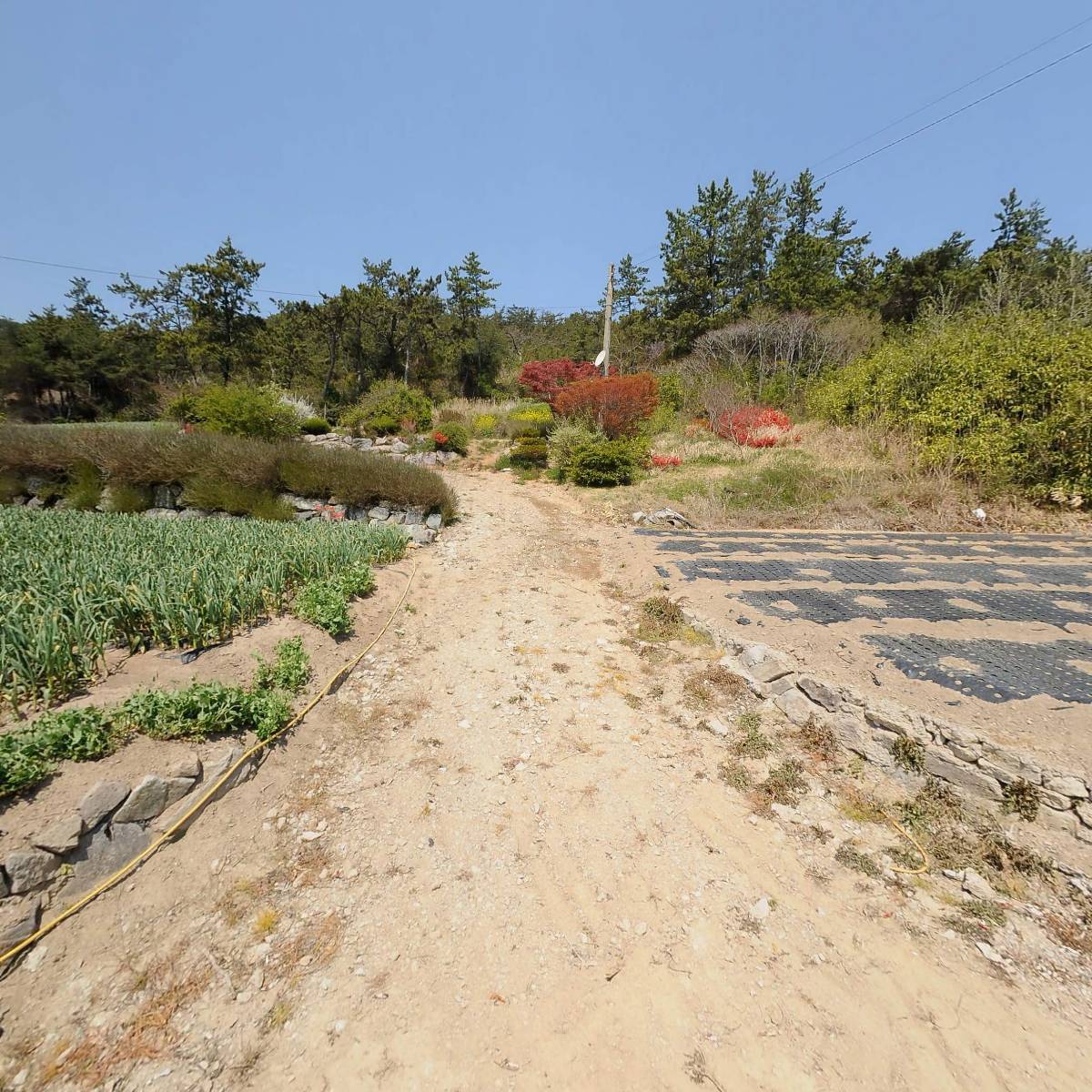 동산들꽃연구소