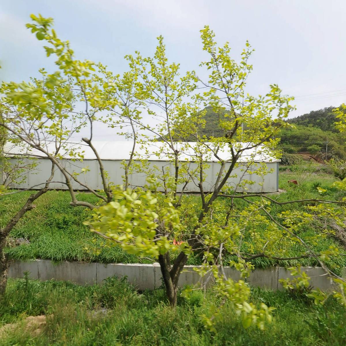 신흥수산