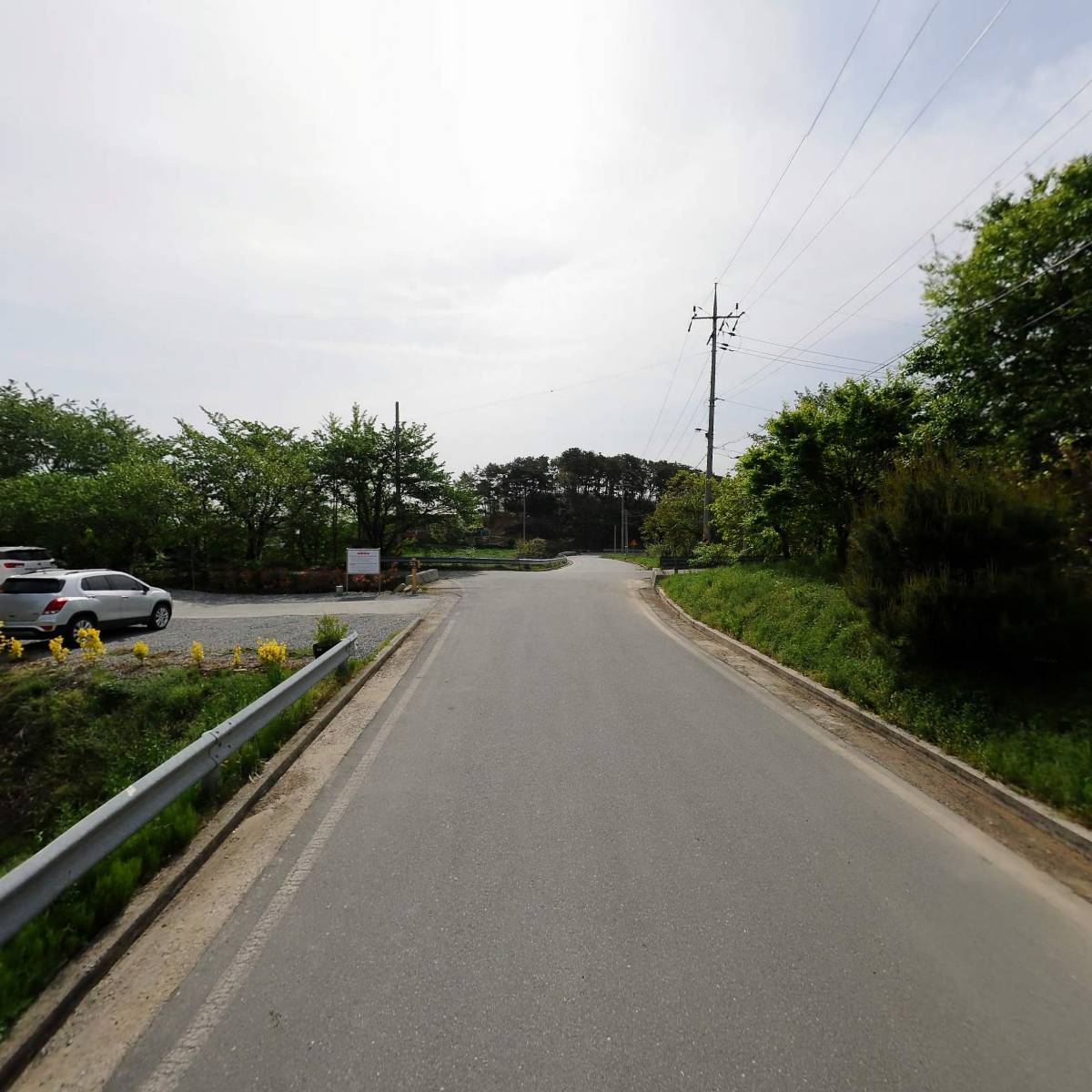 모모_2