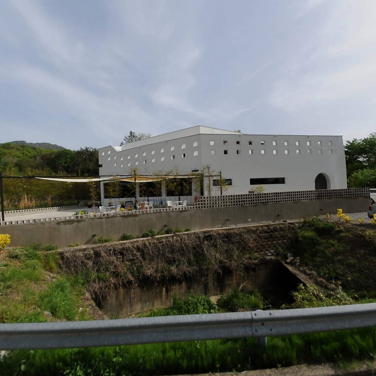 모모
