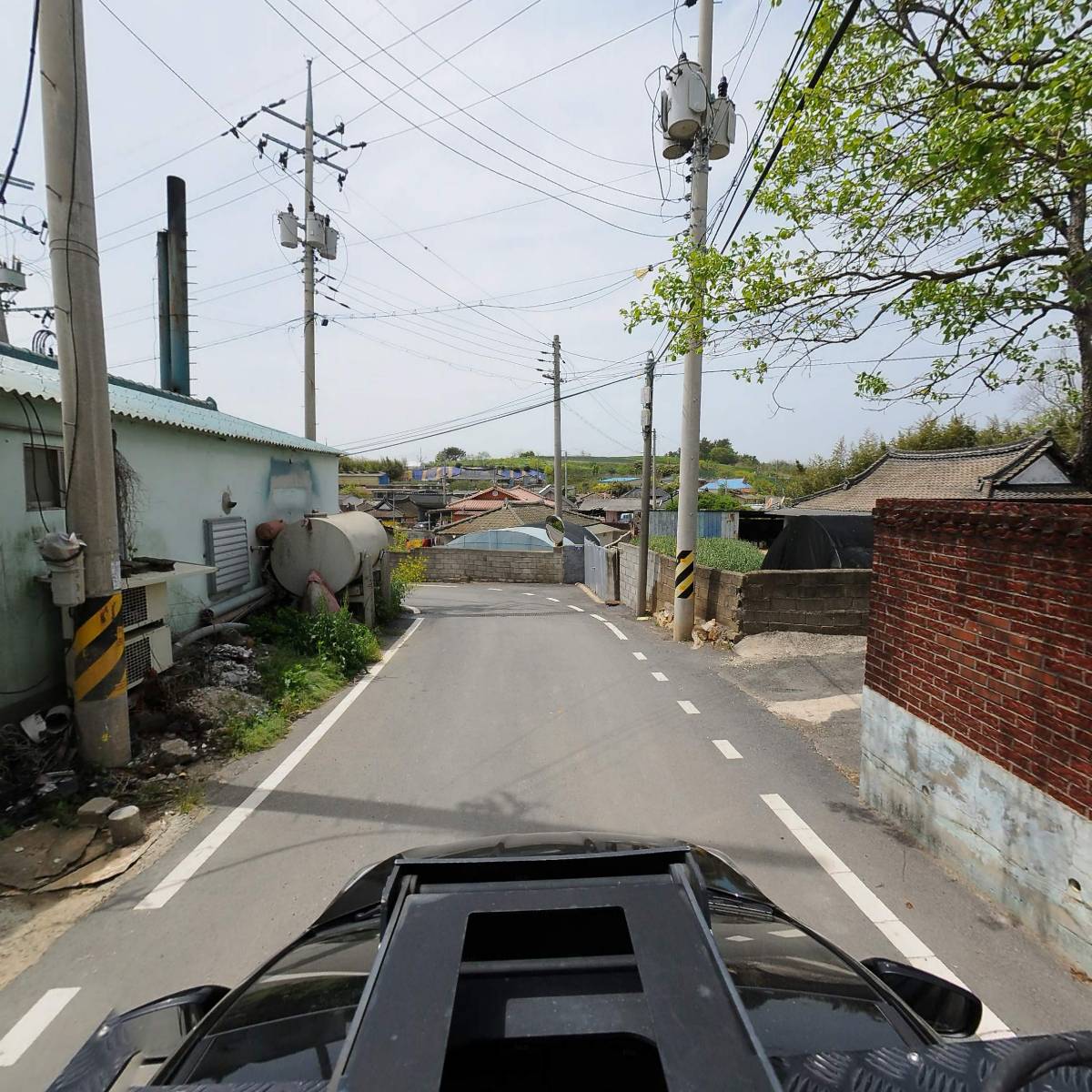 복학양만_4
