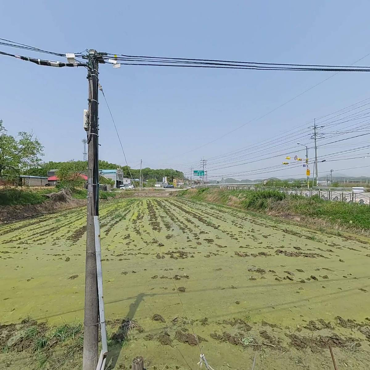 토종장수순대 풍세점_3