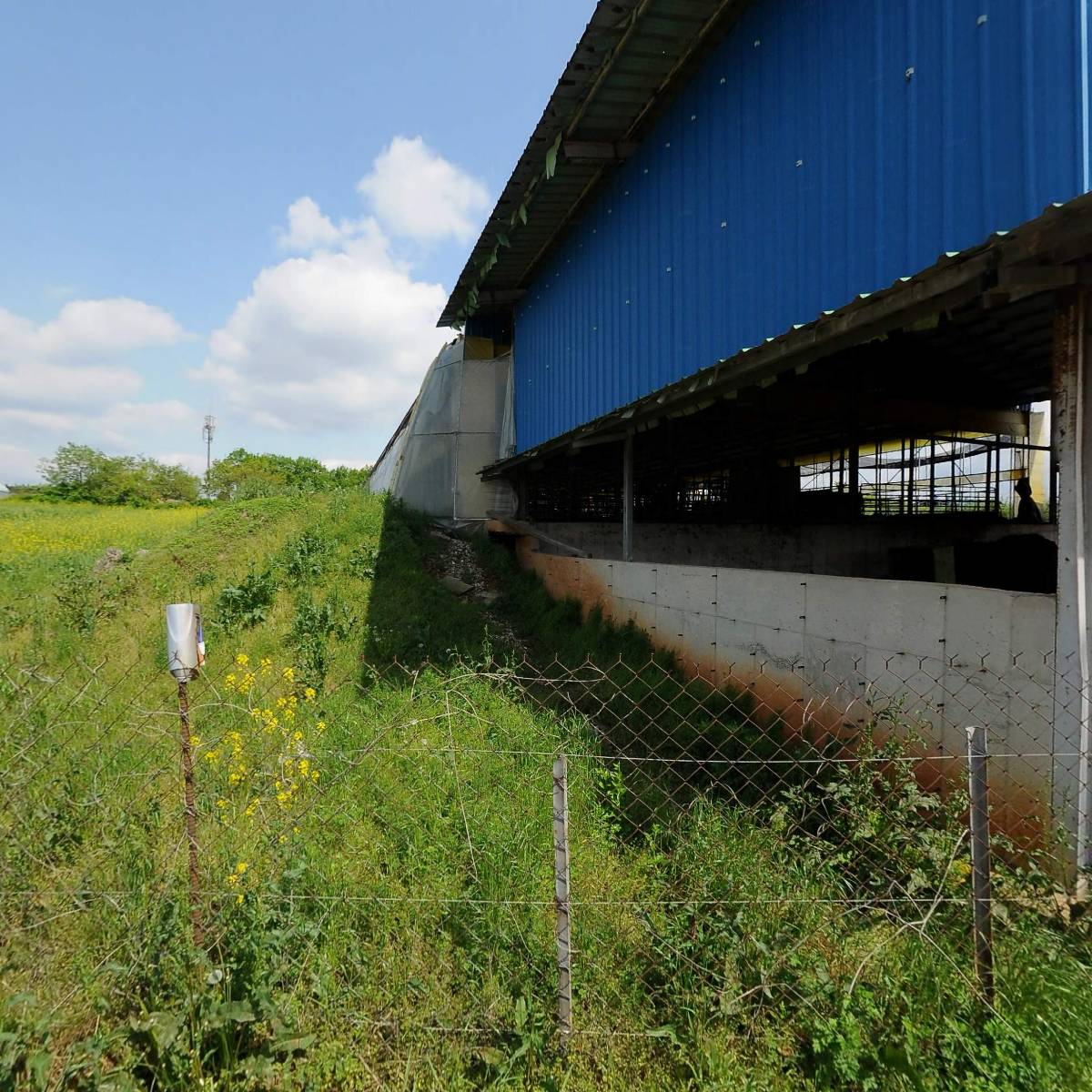 농업회사법인 굿모닝파파 주식회사