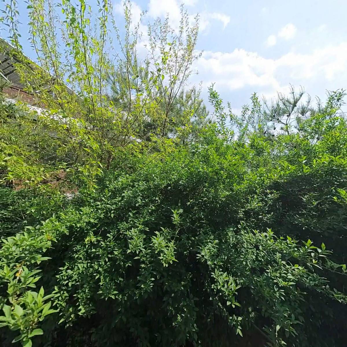 카페알오투엠(cafe RO2M)_3