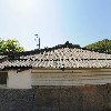 담양 참모싯잎송편_3
