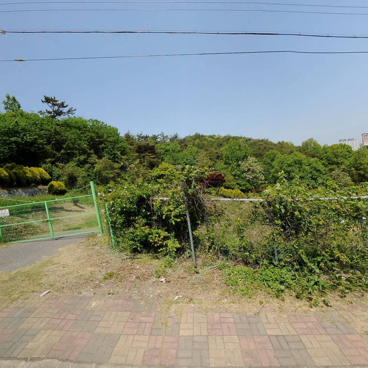 이디엘