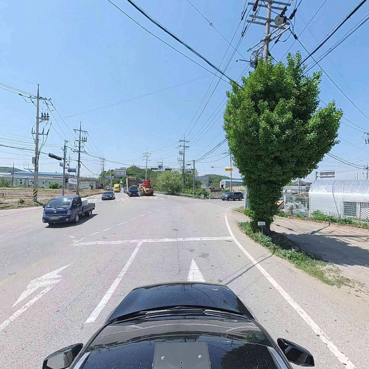 해피 플랜트_4