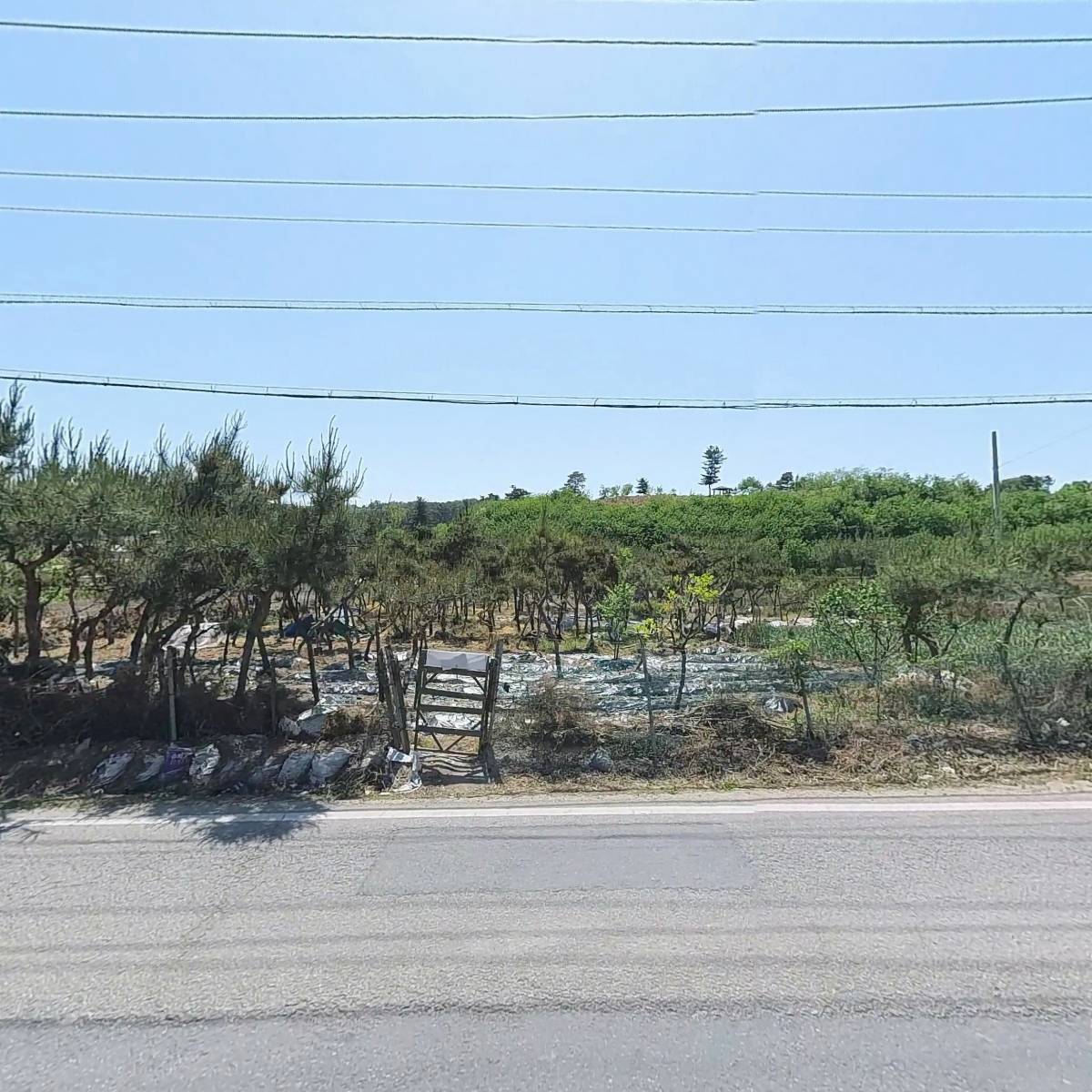일성화학_3