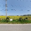 풍천수산_3
