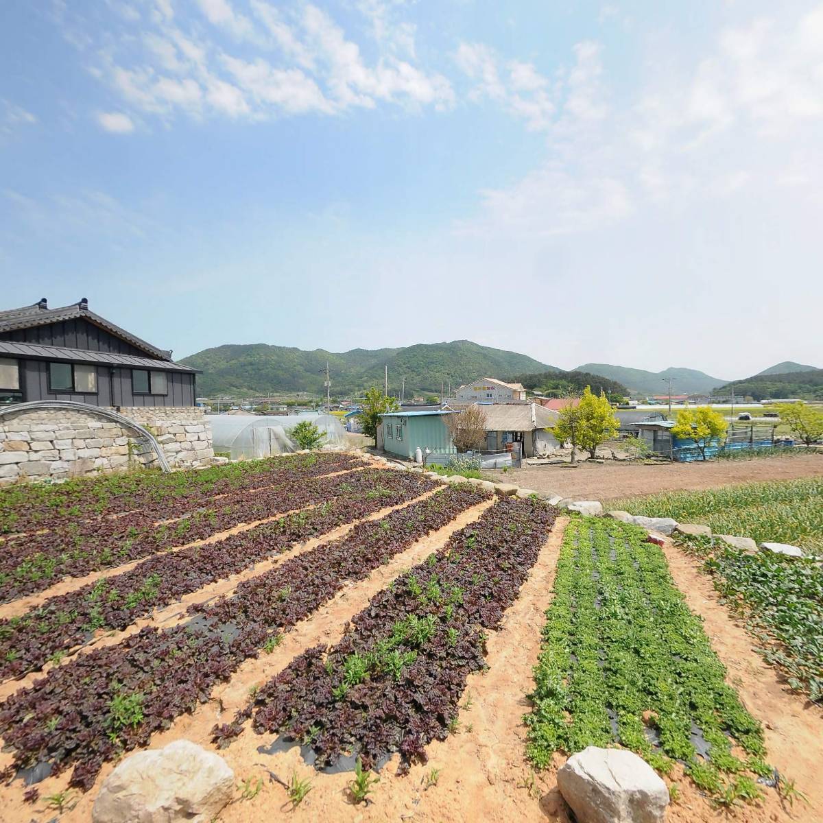 금단양만 포장택배전문점