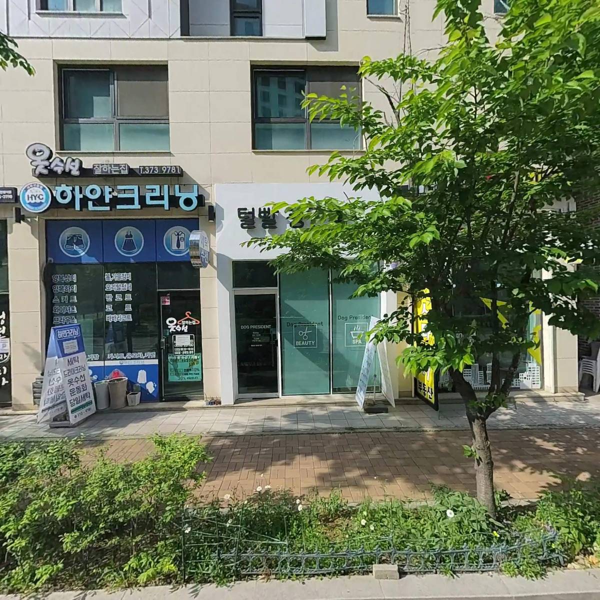 청년피자 동탄장지점