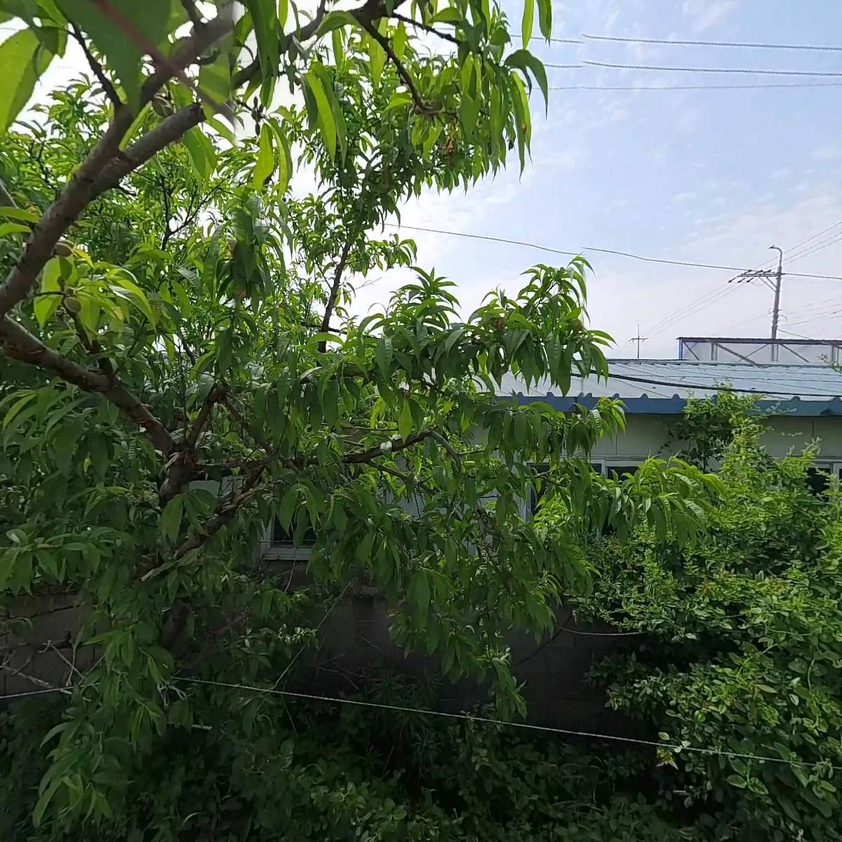 한뚝_3
