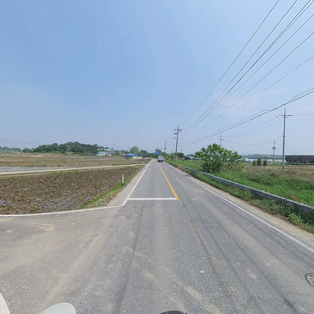 옐로우팜플러스_2