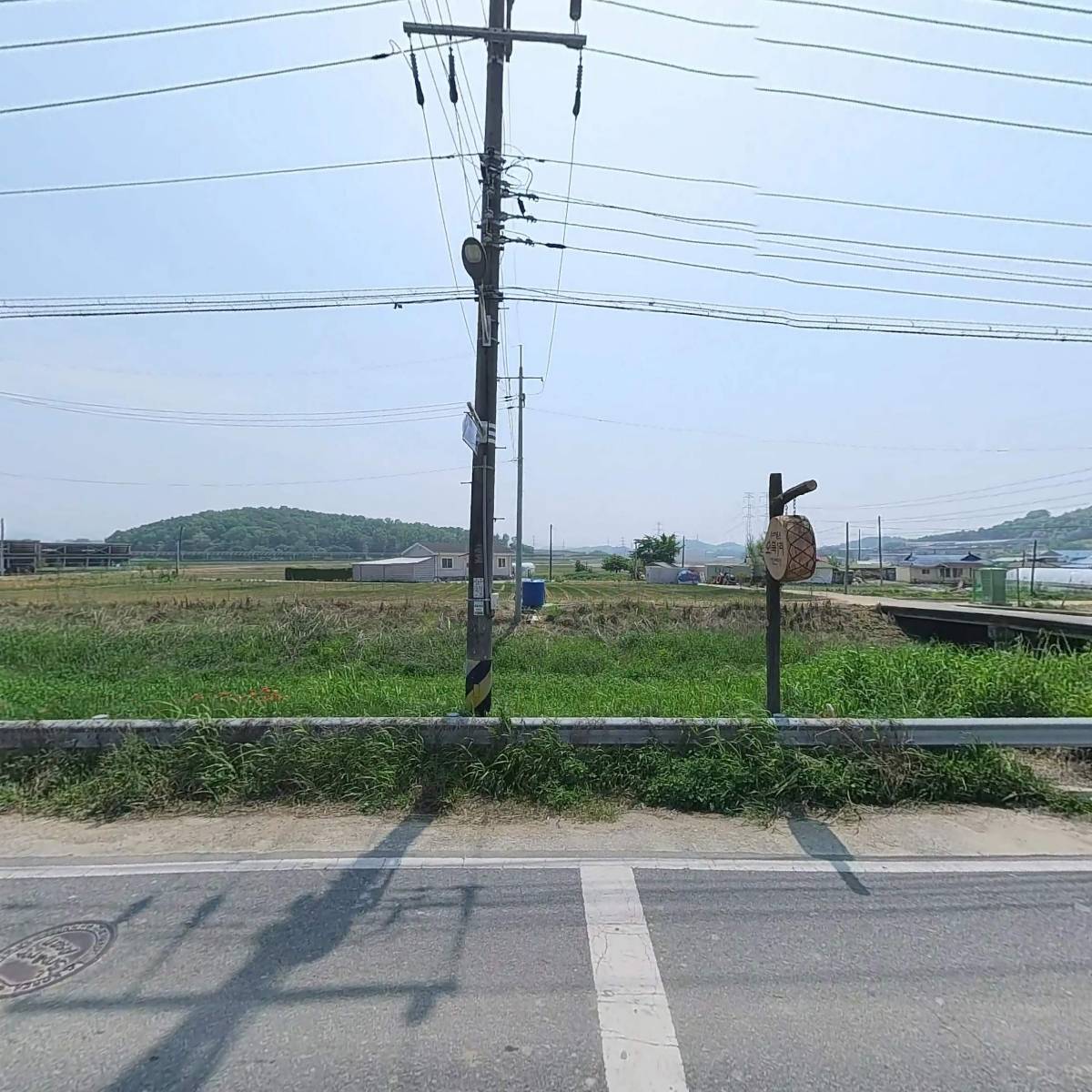 옐로우팜플러스_3