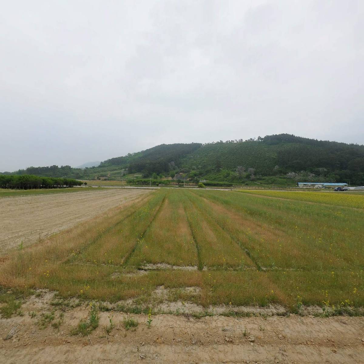 명사양만장_3