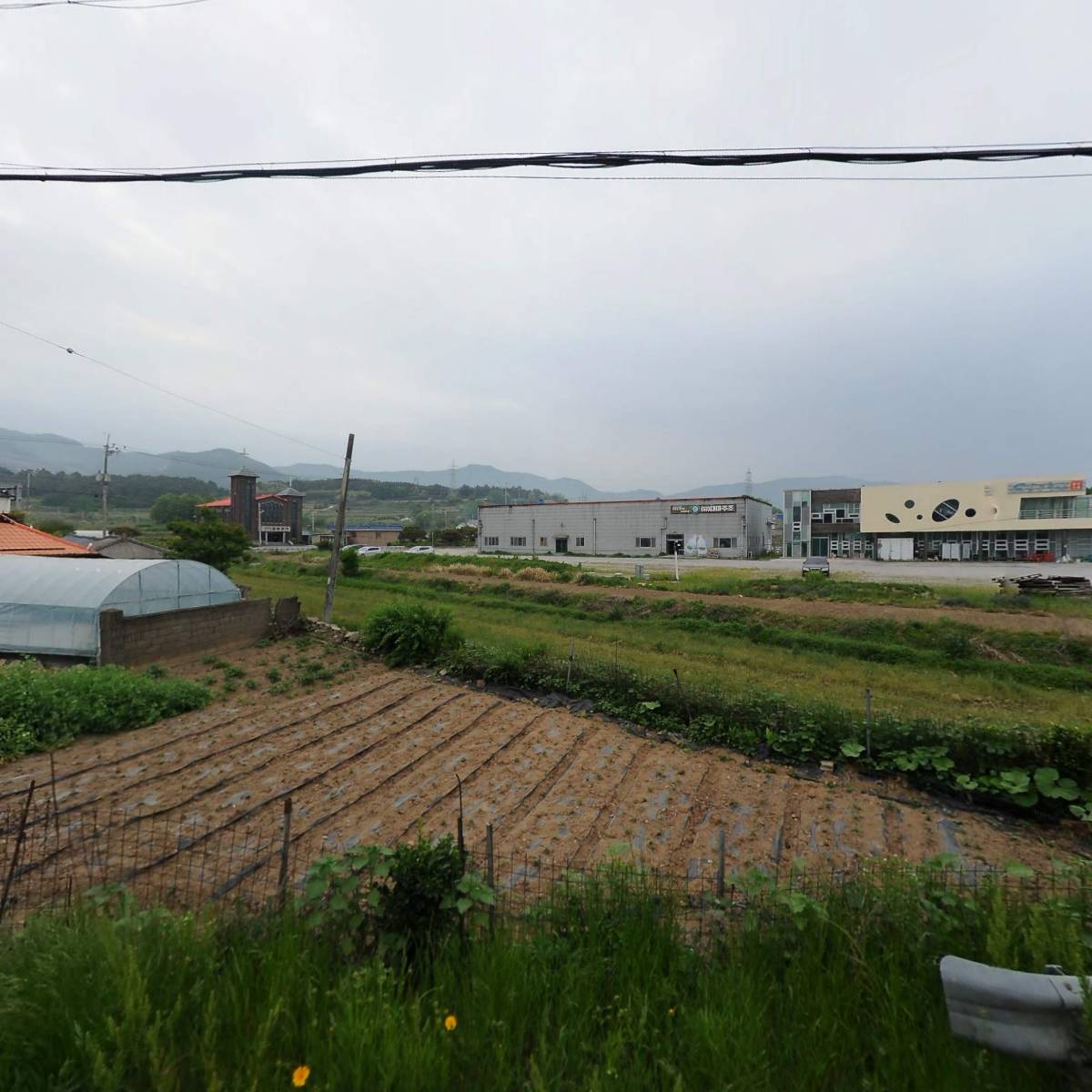 대마우체국