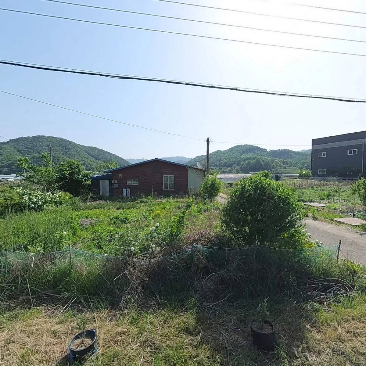 카페온라이프