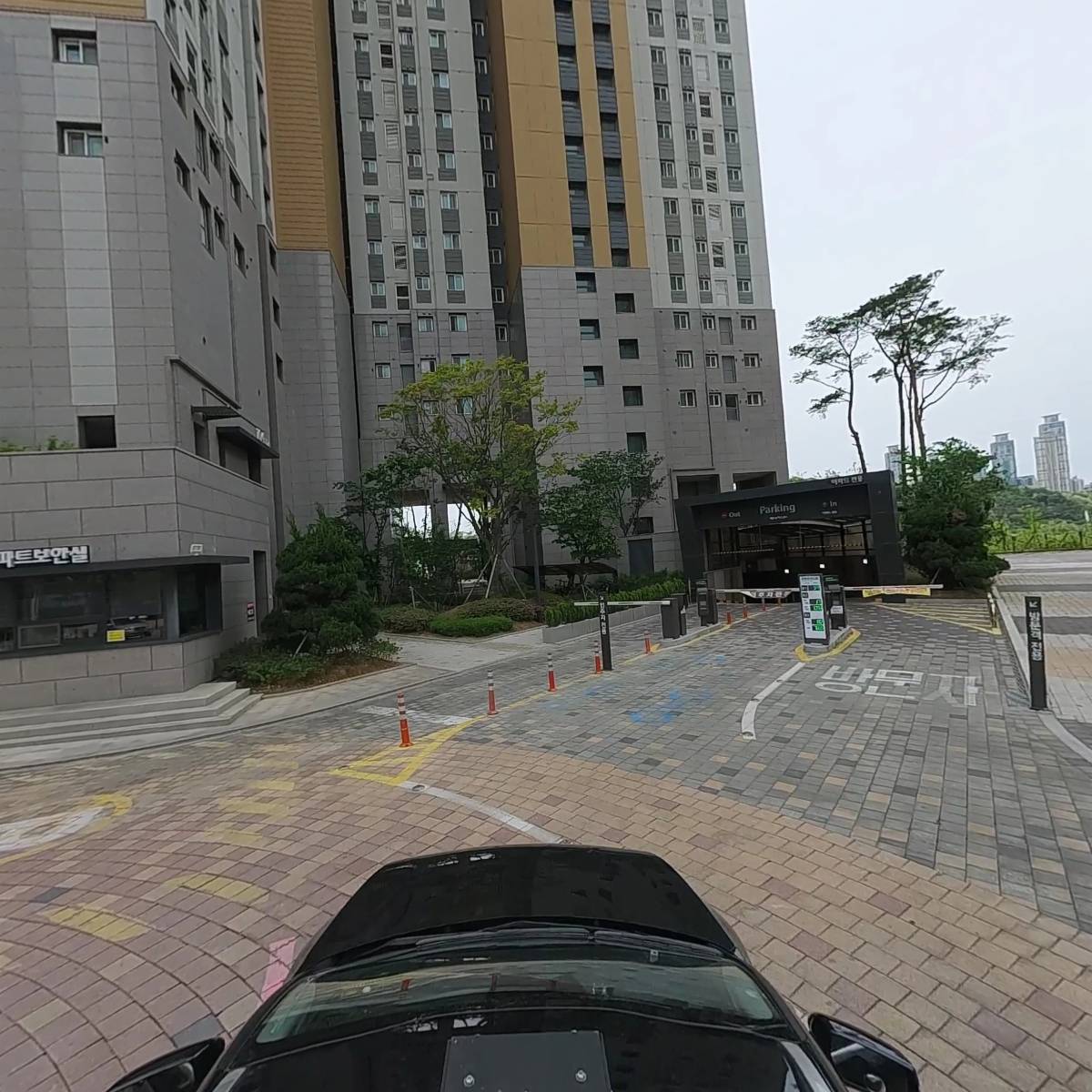 투다리 카림2차점_4