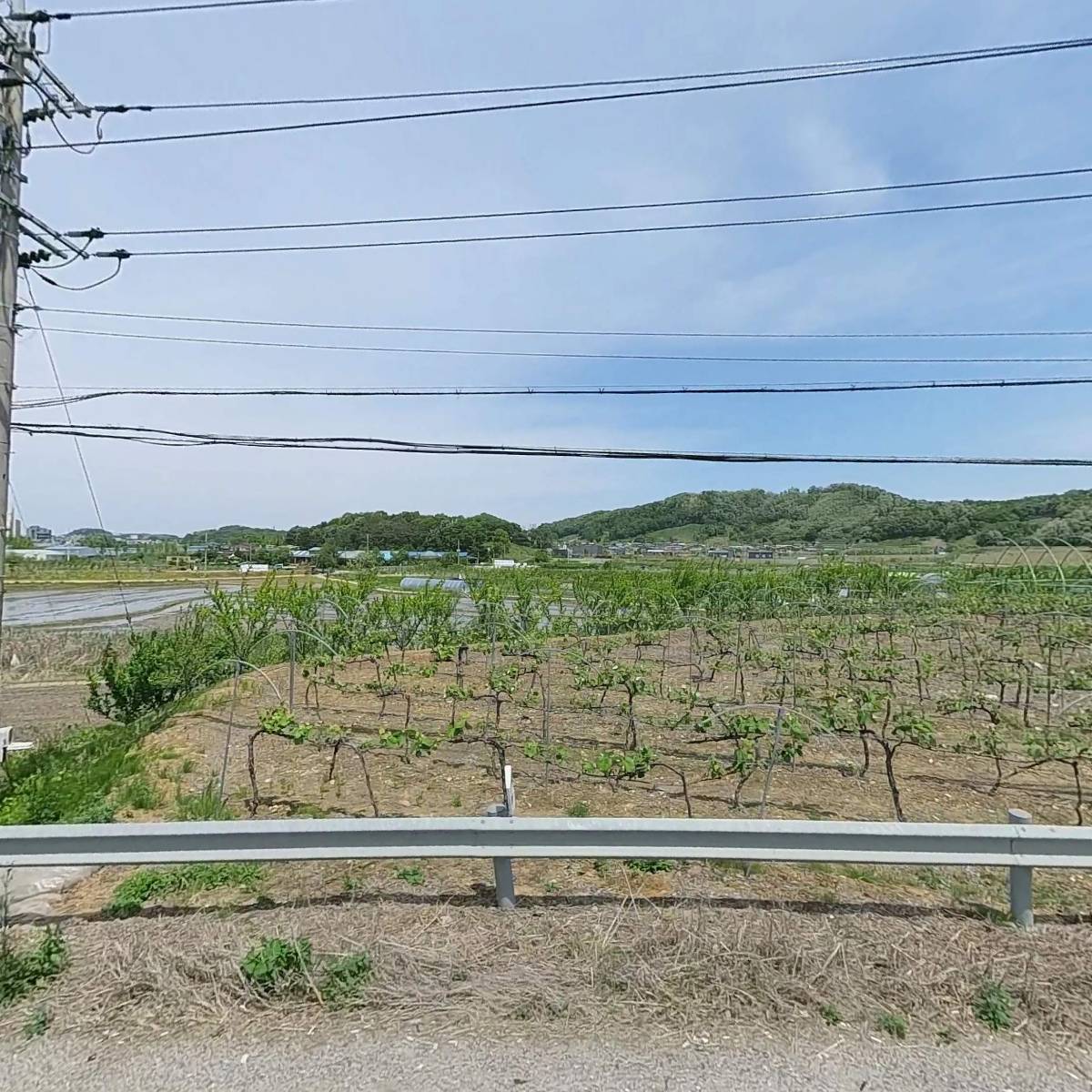 나눔구제짱