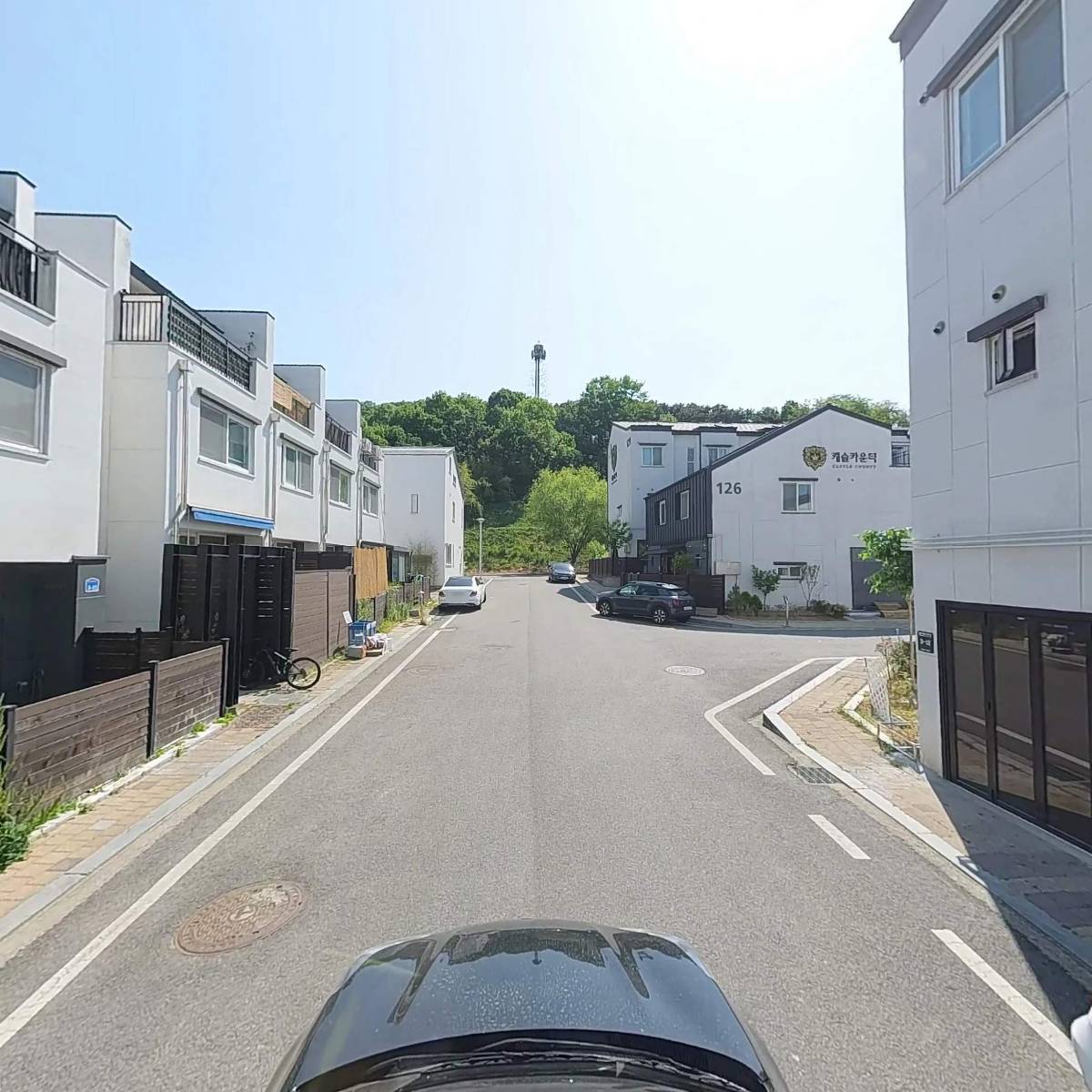 캣시터 배집사_4