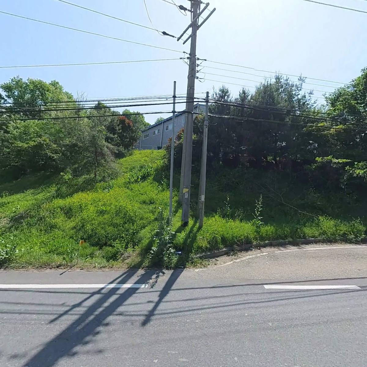 주식회사 교림_3