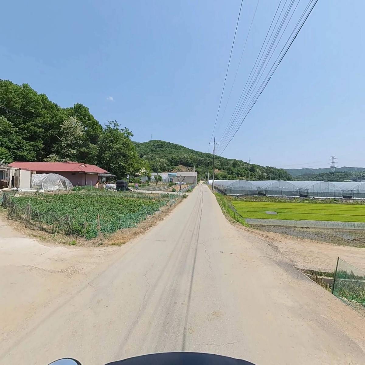 오대륙육계유통_2