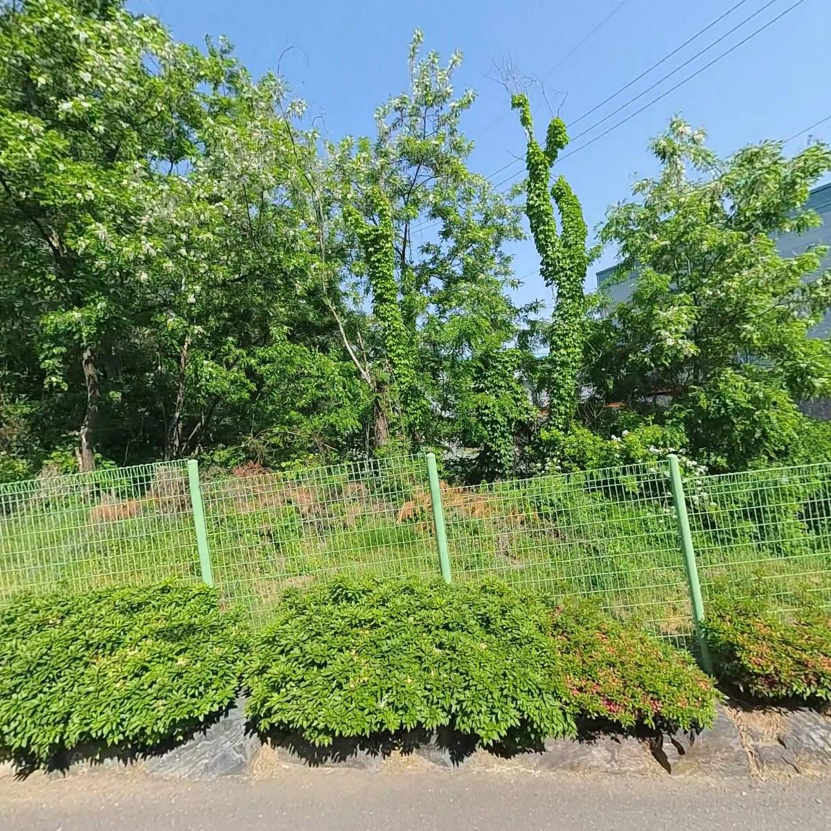 (주)바이오테라