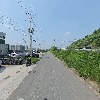 김프로타이어_2