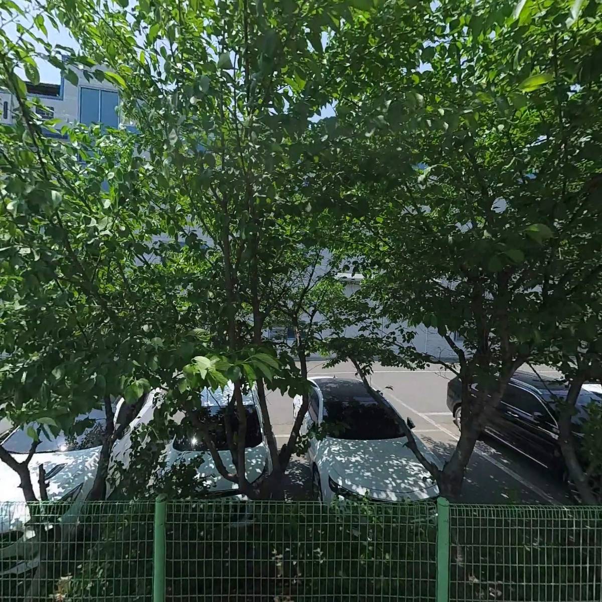 제이엔에프