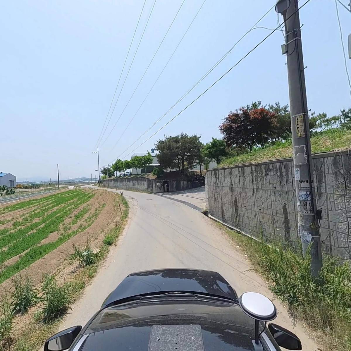 (주)고려인삼제품공사_4