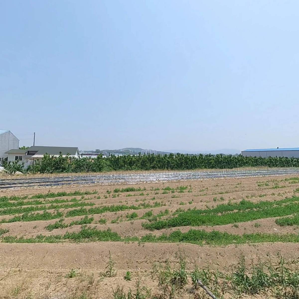 (주)고려인삼제품공사_3