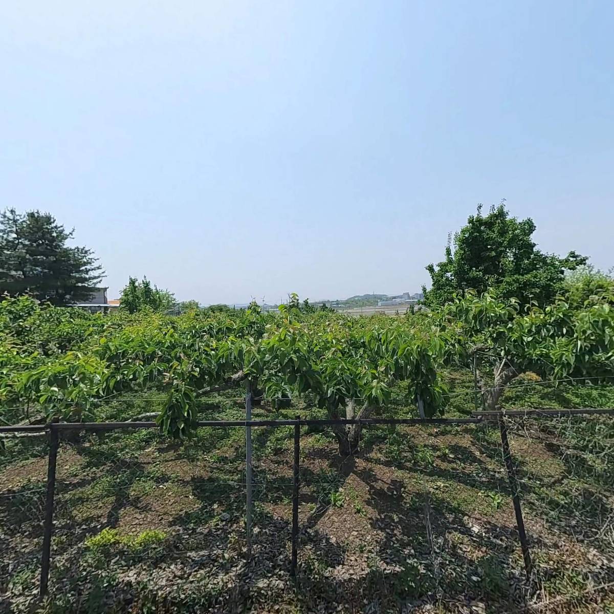 (주)효신이온플레이팅_3