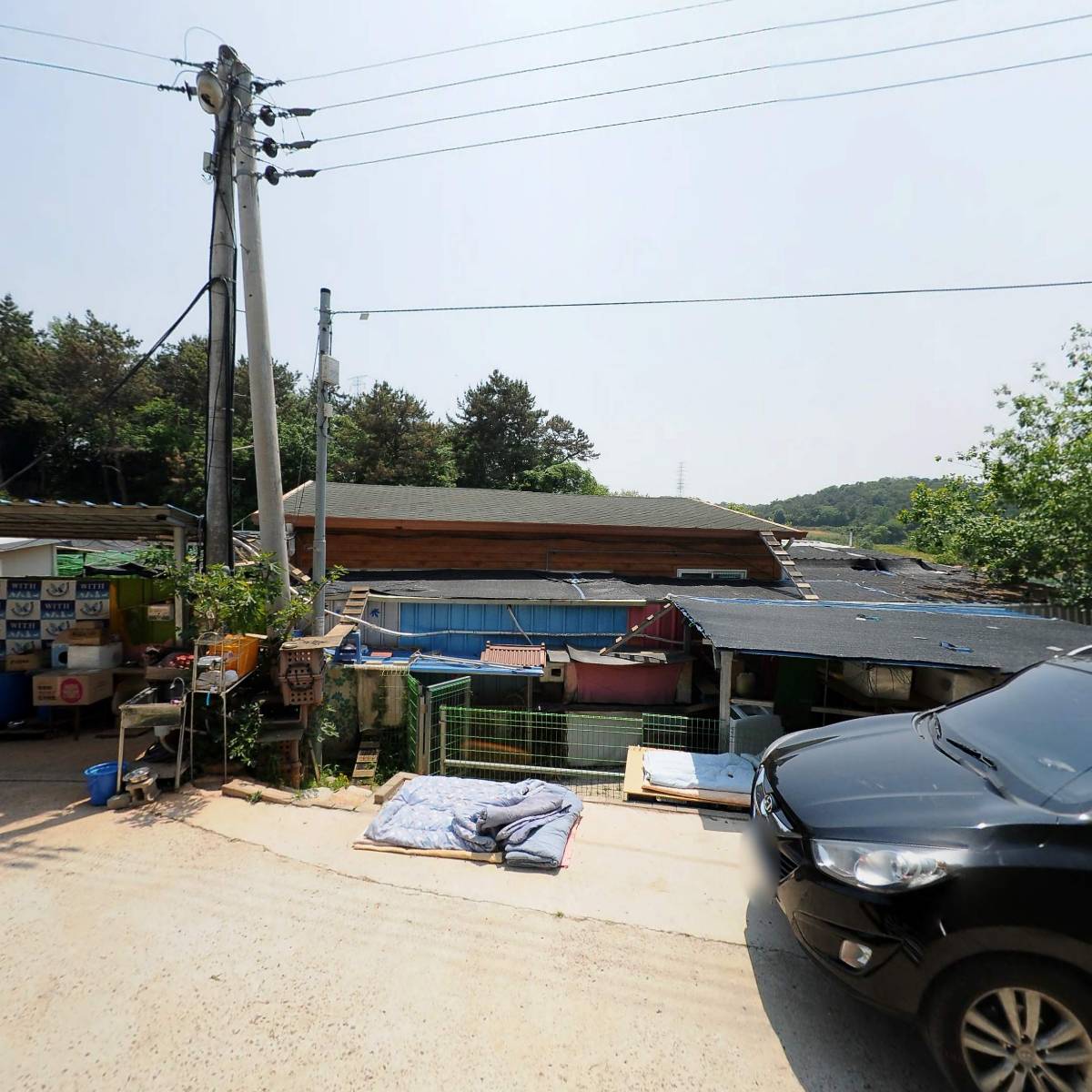 사단법인 동물사랑 네트워크