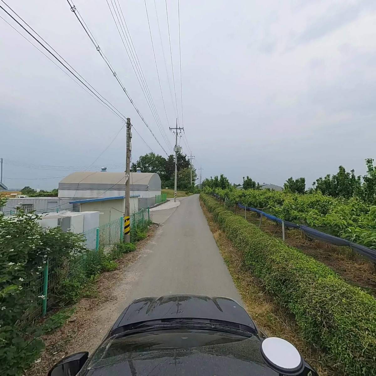 이디이엔(EDEN)_4