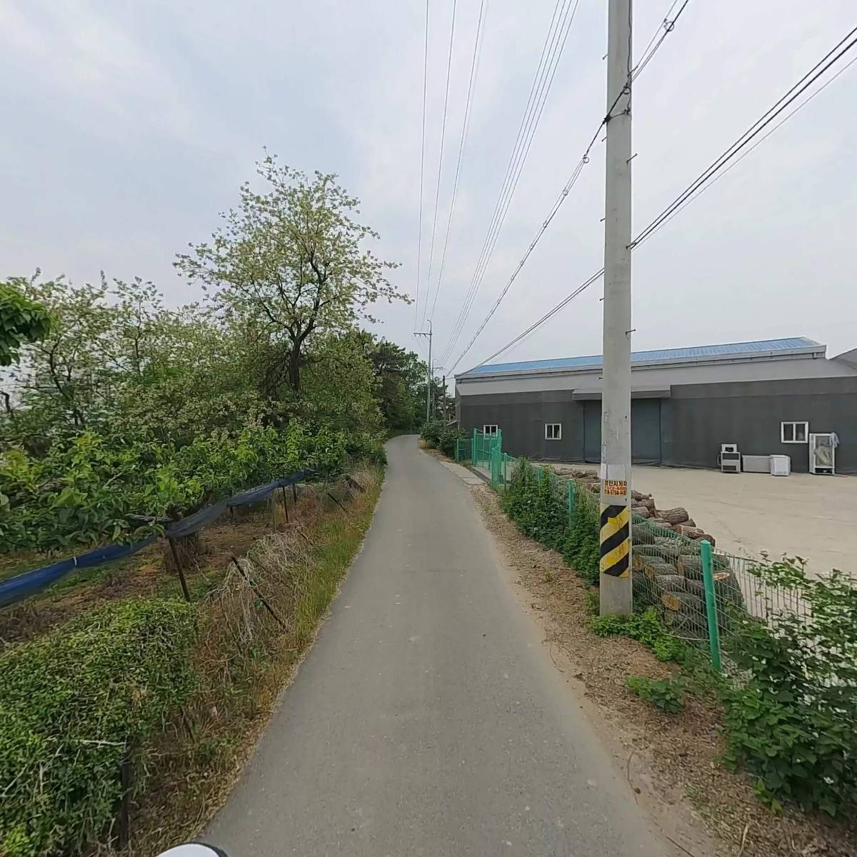 이디이엔(EDEN)_2