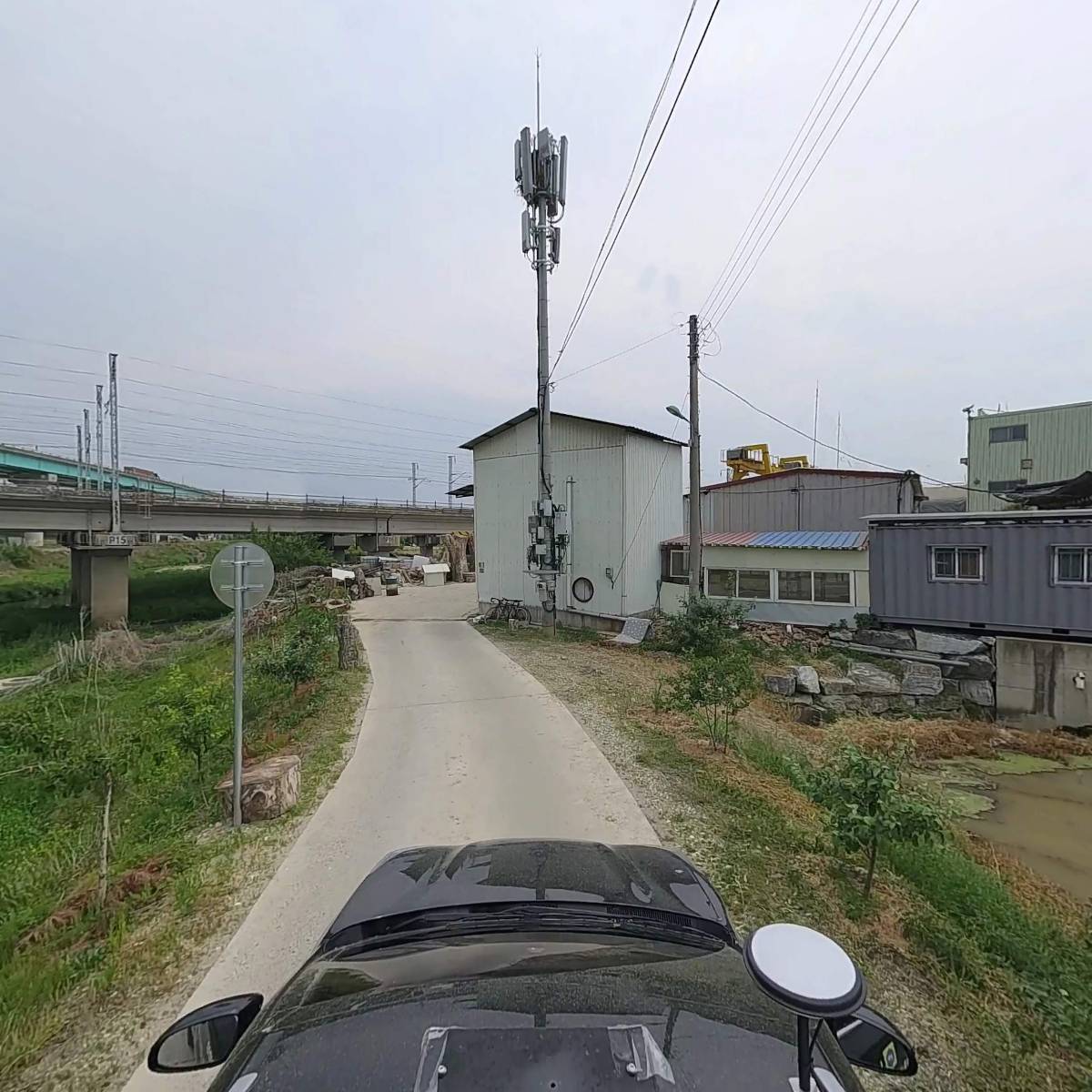 천안벌목대행 위험목제거_4