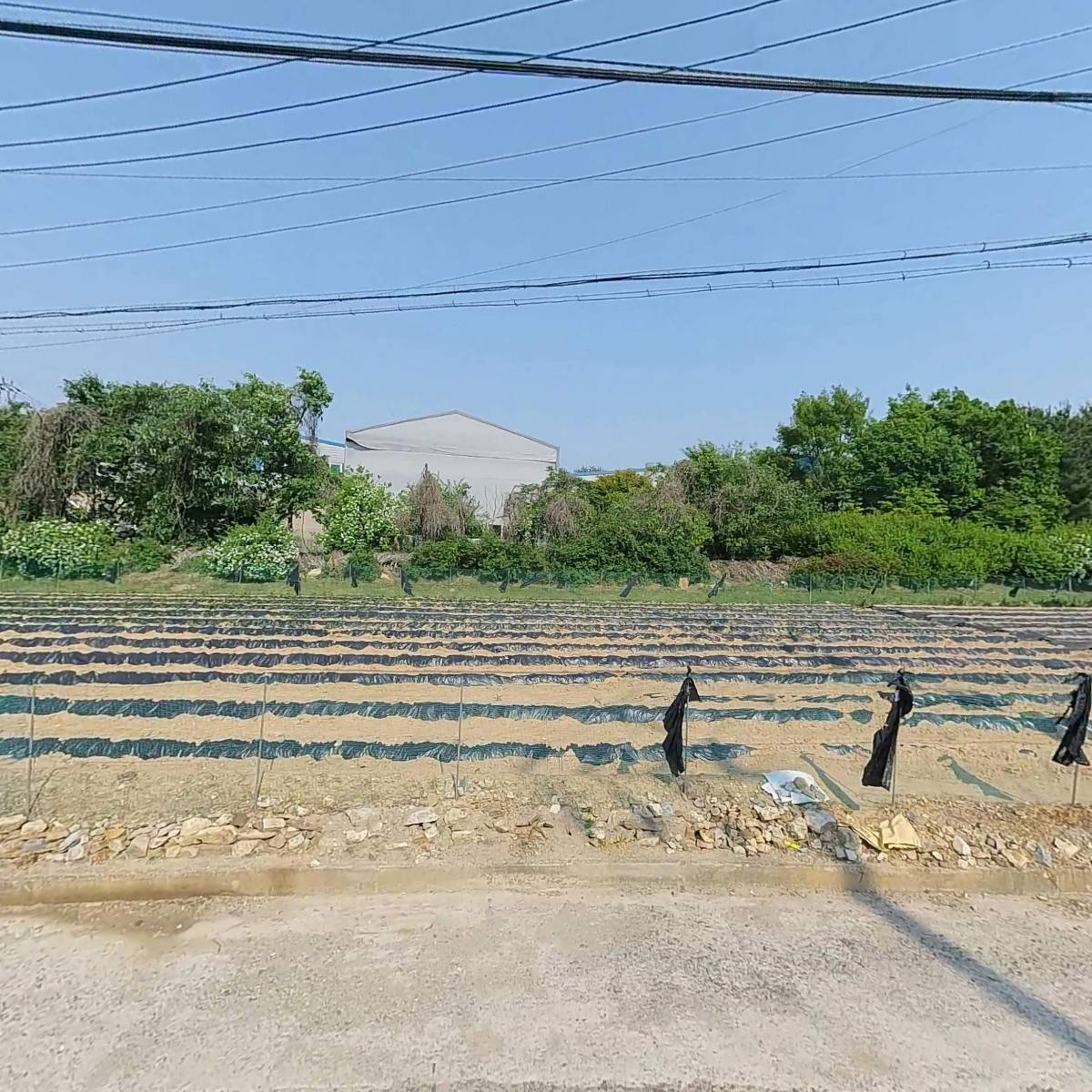 주식회사 디피케이