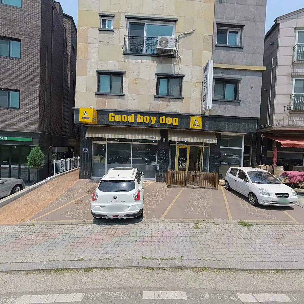 굿보이도그_3