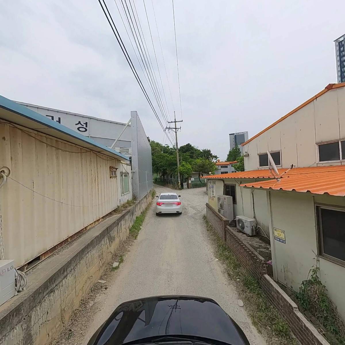 거성_4