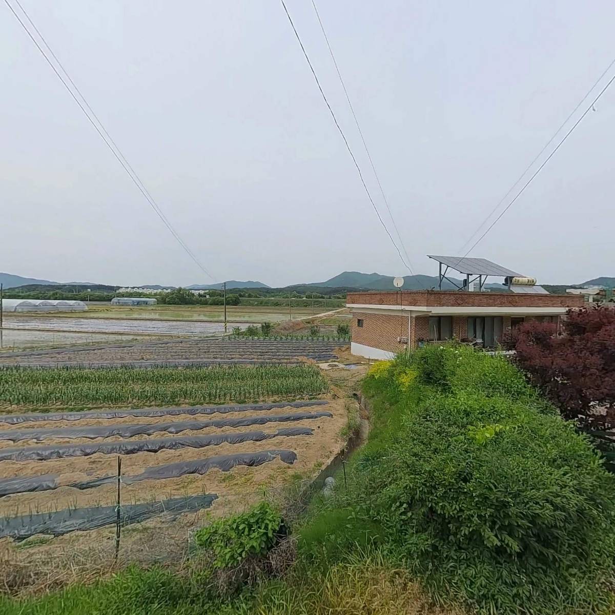 투제이