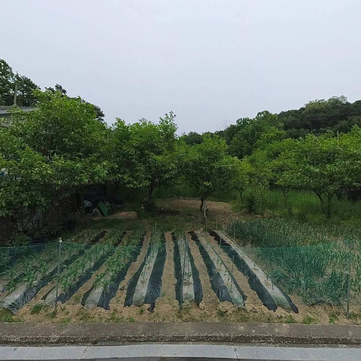 아산다향한방꽃차교육원