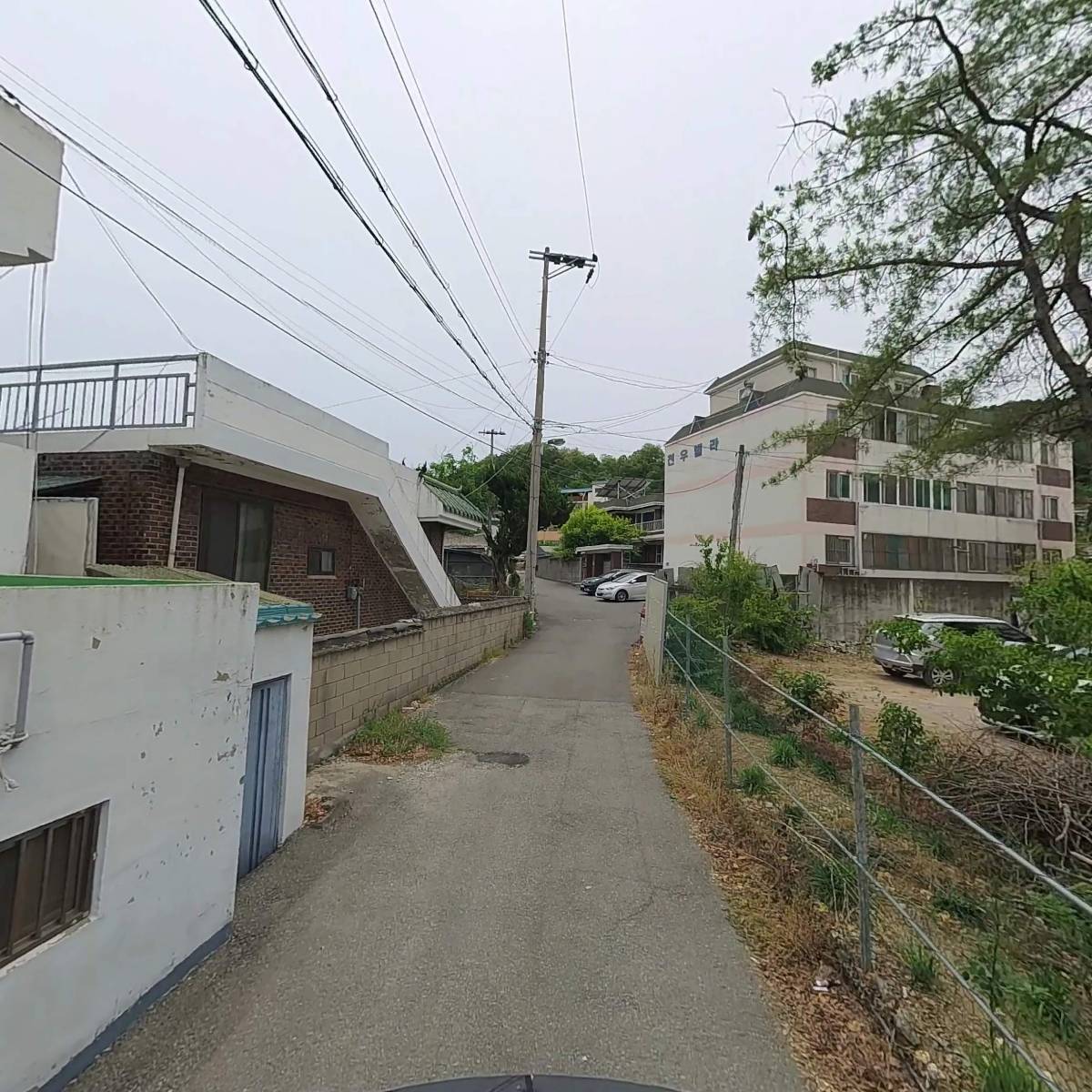 딸기네트웍스_2