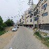 천리향_2