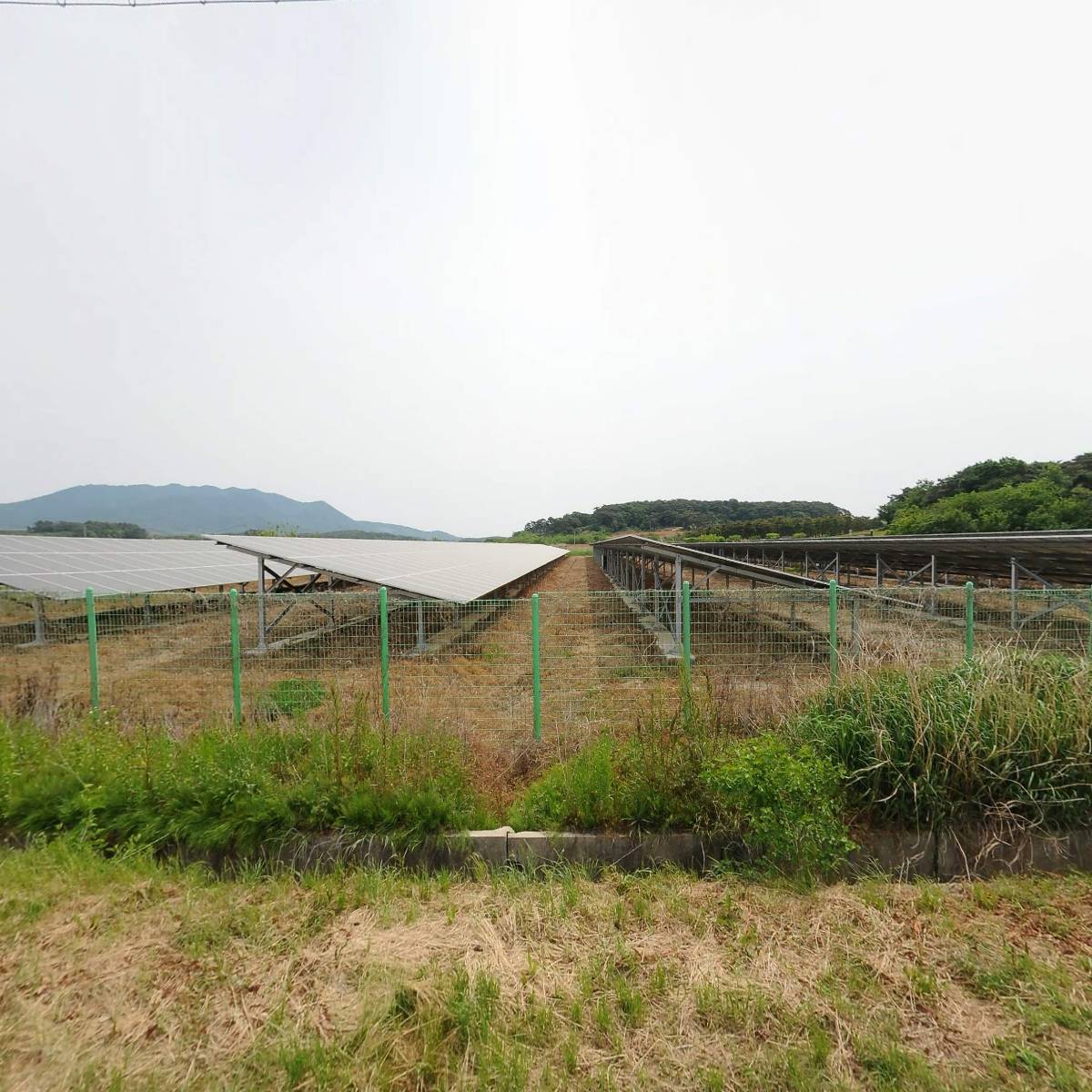 예가온식품_3