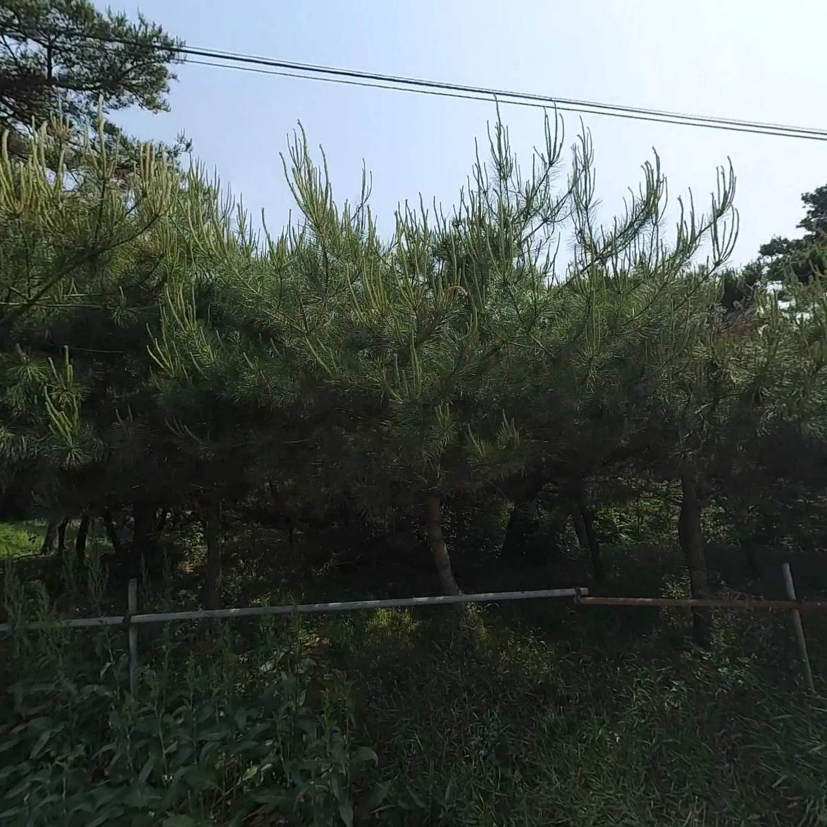 로키인공암벽