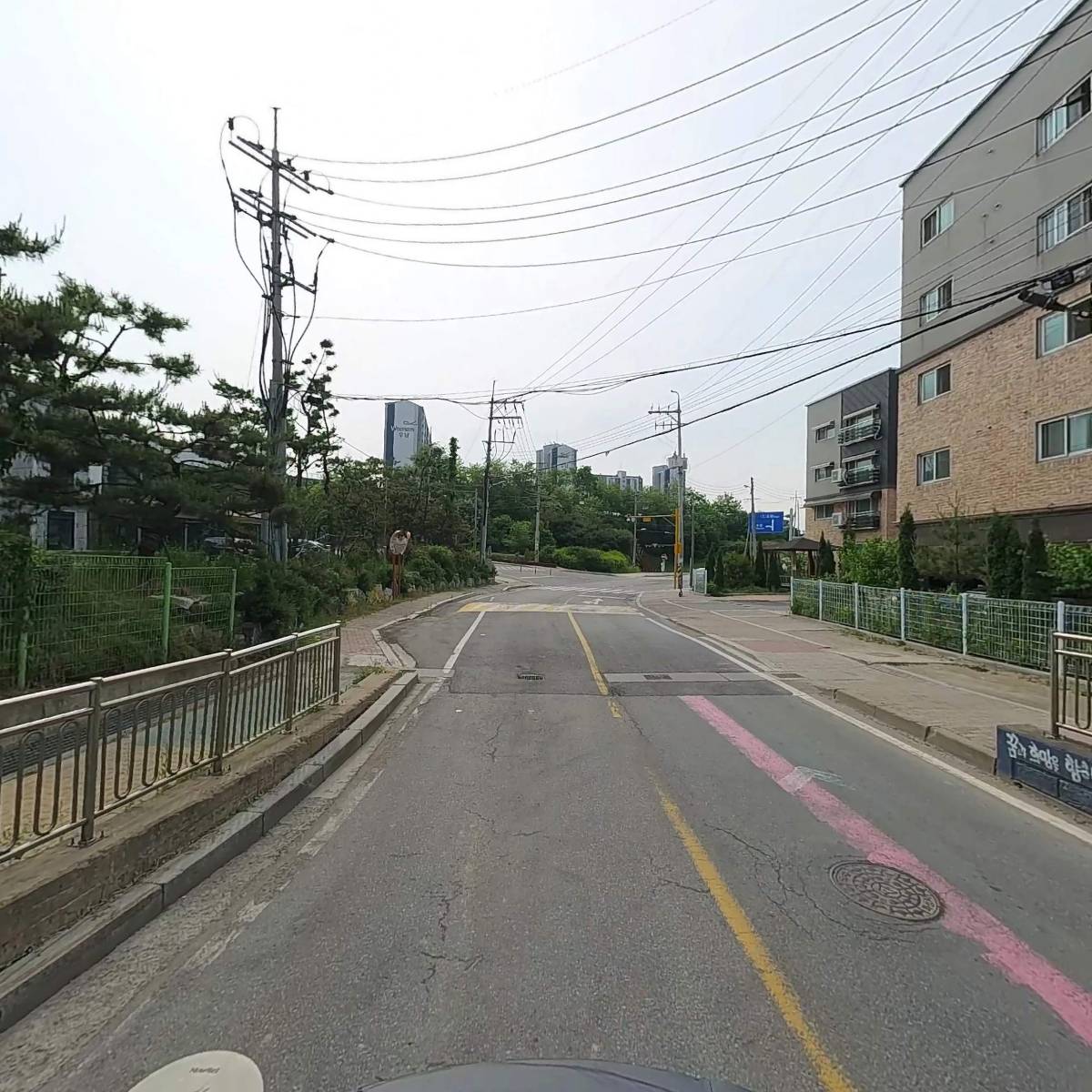 예당꽃돼지_2
