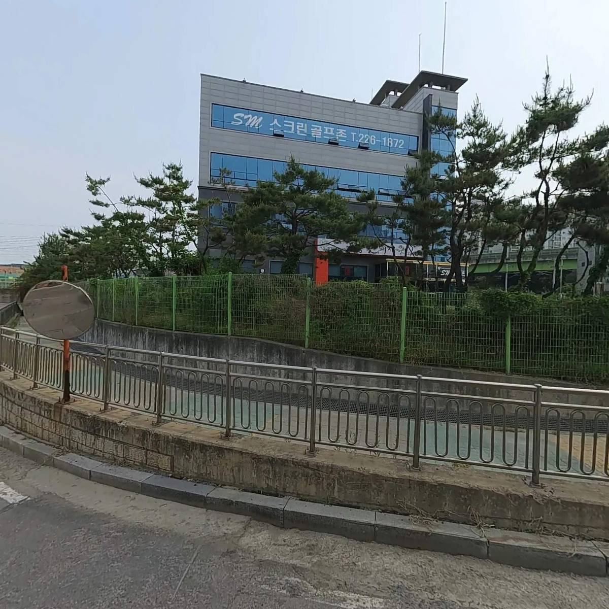 예당꽃돼지