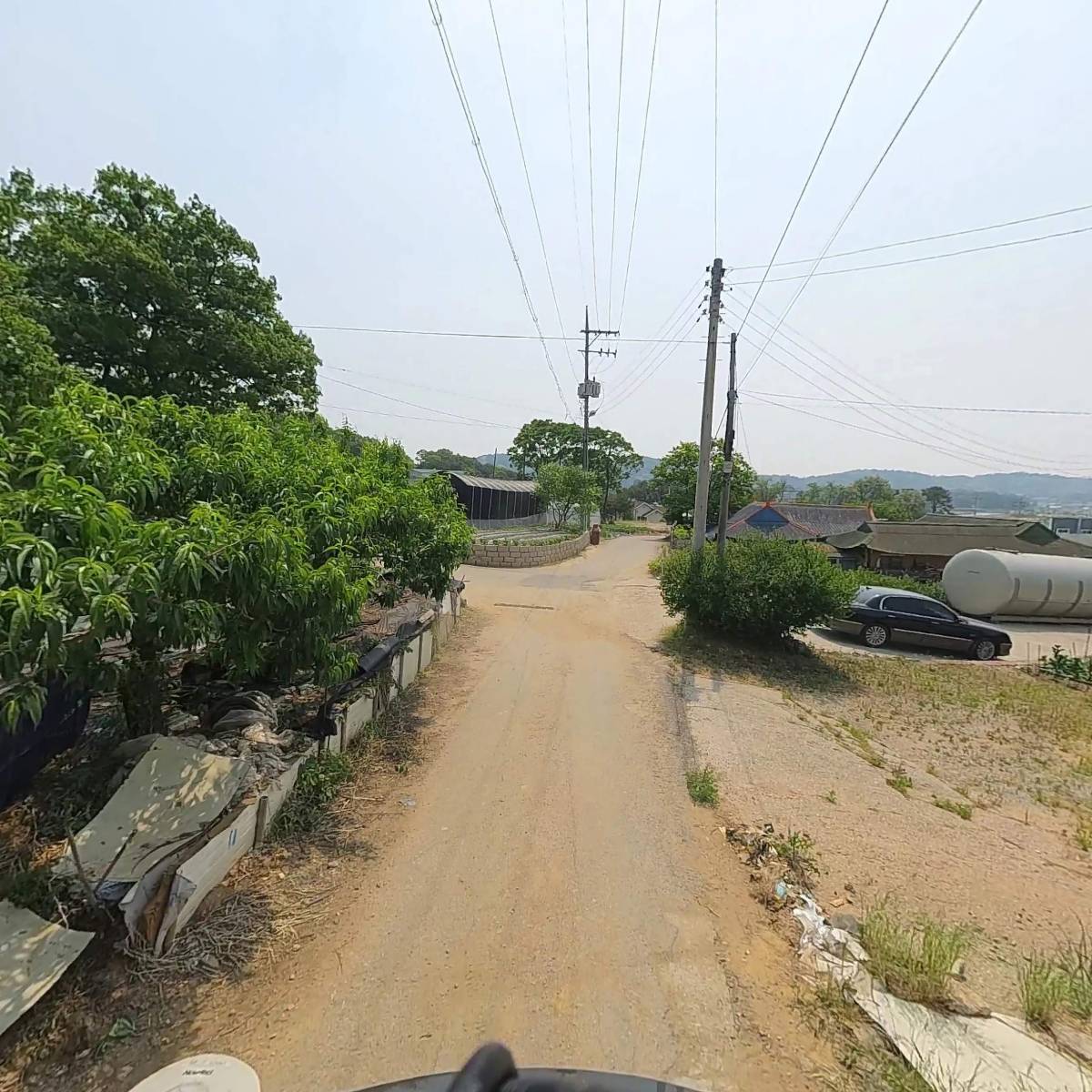 키토넥스_2