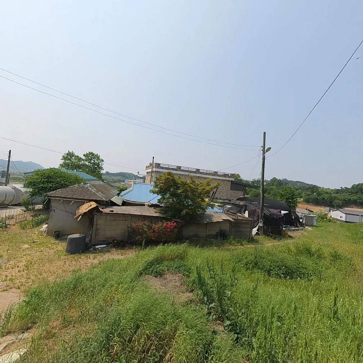 키토넥스_3