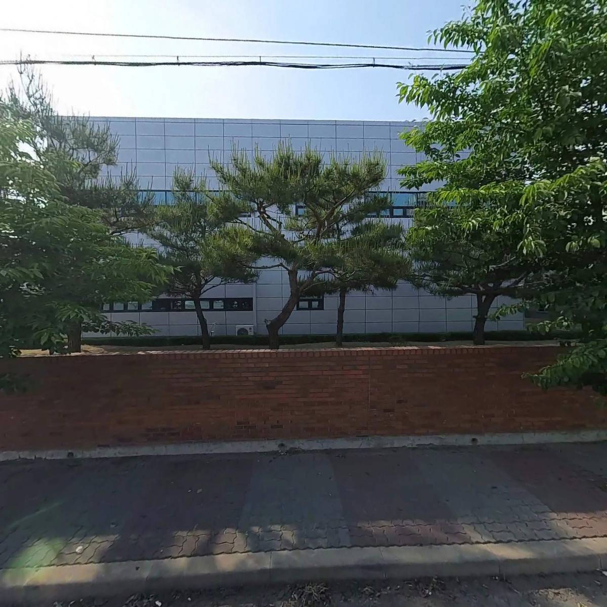 알씨엘 김필수